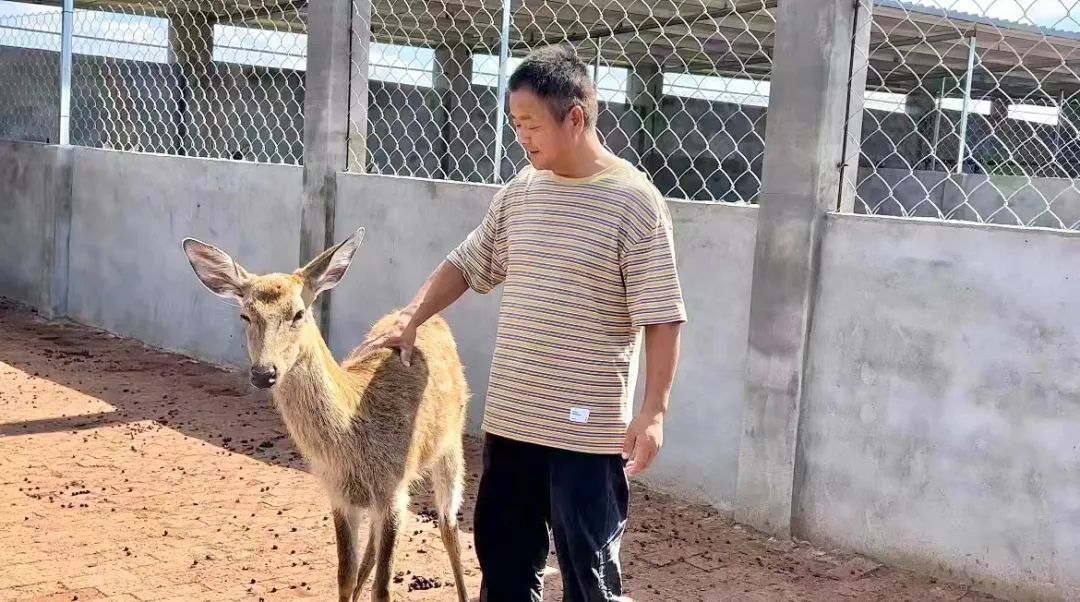 捕鱼达人游戏机说明书